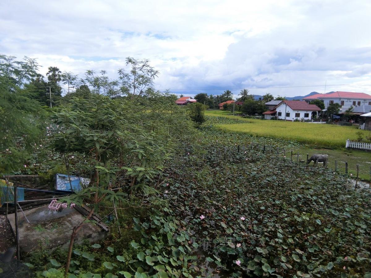 Dalom Guesthouse Don Det Luaran gambar